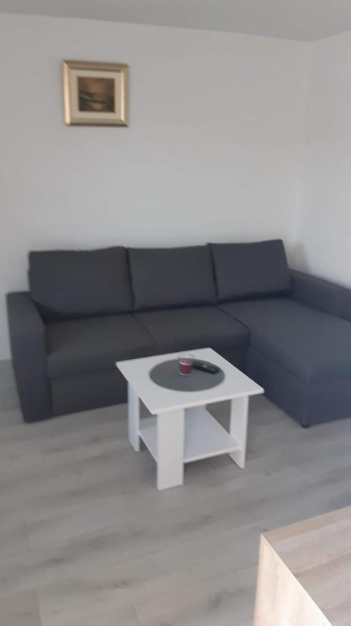 Apartman Abramovic Topusko Eksteriør billede